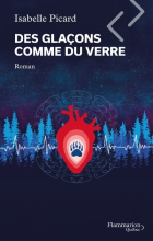 Des glaçons comme du verre